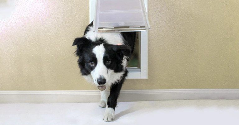 About the installation of a Pet Door